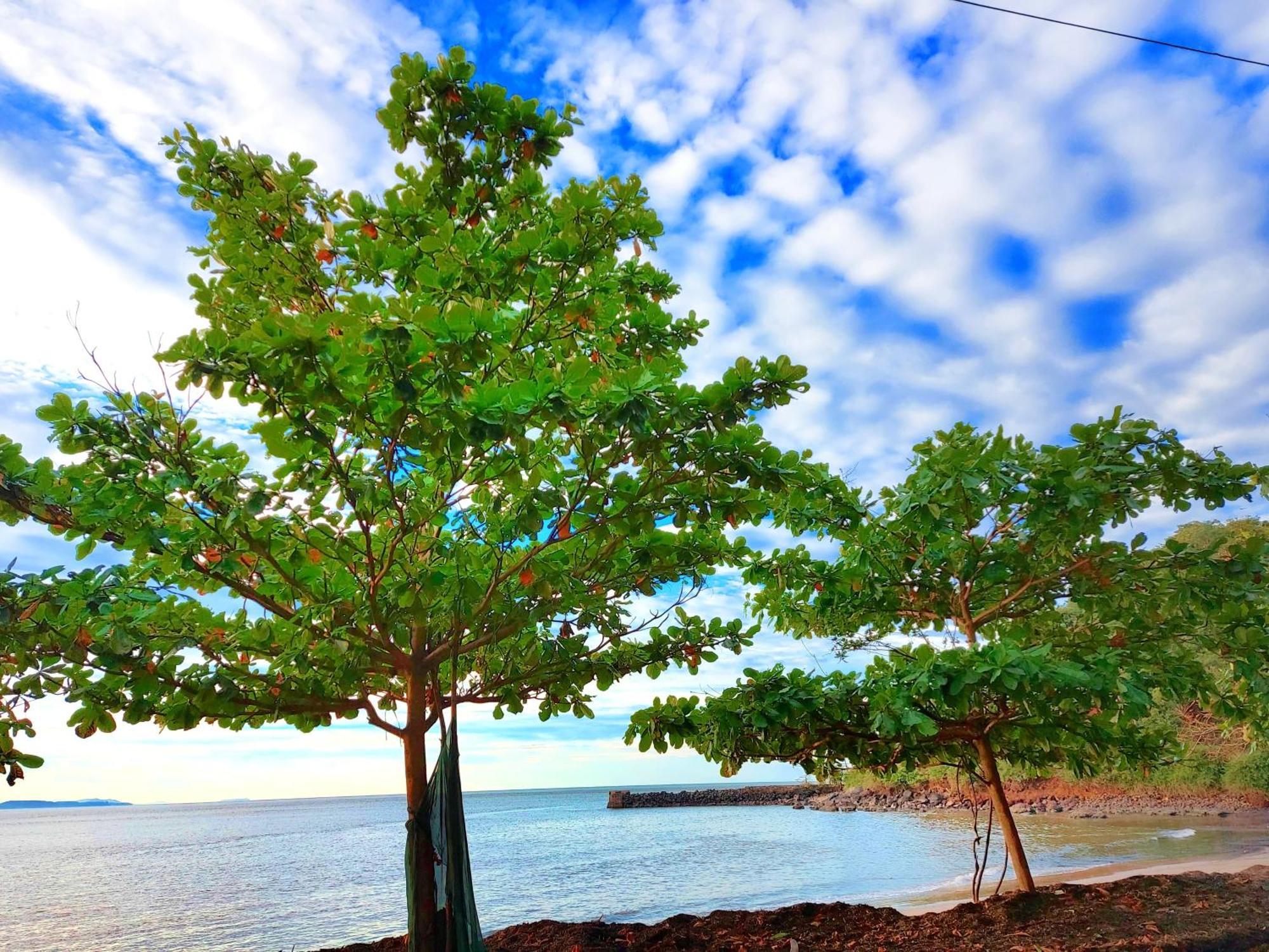 Navni Beach View Stay Gokarna (Karnataka) Exterior foto